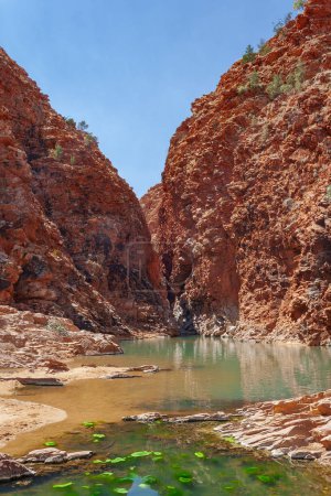 Téléchargez les photos : Gorge d'Ormiston avec la source d'eau située à West Macdonnell Ranges, Territoire du Nord, Australie - en image libre de droit