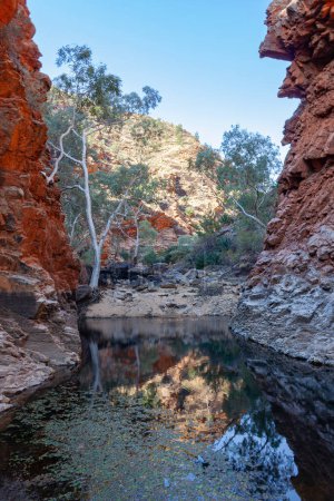 Téléchargez les photos : Gorge de Serpertine avec la source d'eau située à West Macdonnell Ranges, Territoire du Nord, Australie - en image libre de droit