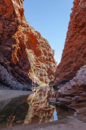 Téléchargez les photos : Gorge Simpsons Gap avec la source d'eau située dans West Macdonnell Ranges, Territoire du Nord, Australie - en image libre de droit