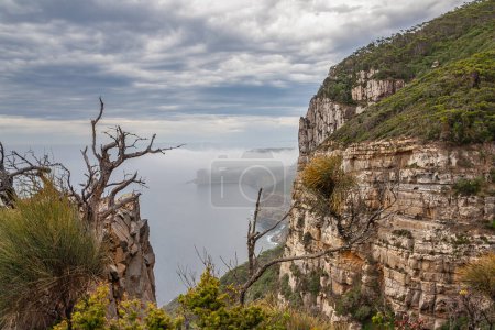 Téléchargez les photos : Falaises à couper le souffle sur le chemin de randonnée du Cap Raoul, situé en Tasmanie, Australie - en image libre de droit