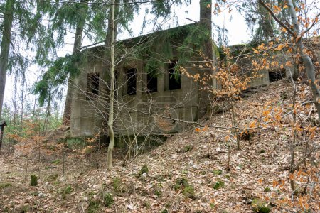 ruines des bâtiments du projet Riese sur le mont Osowek