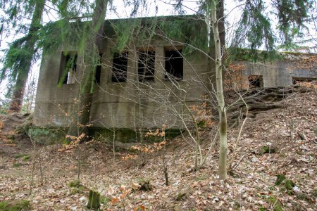 ruins of Riese project buildings on Mount Osowek
