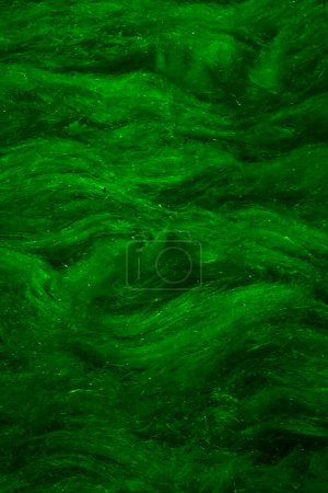 Foto de Lana mineral verde con una textura visible - Imagen libre de derechos