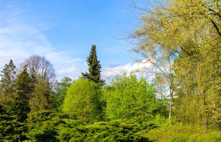 Park in Chorzow an einem sonnigen Tag