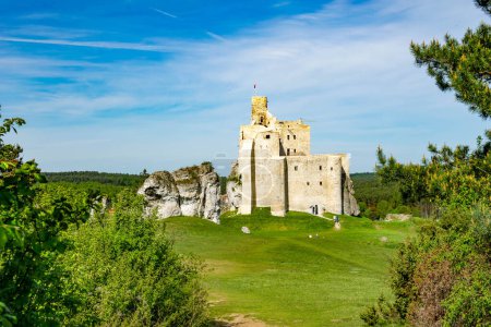 Téléchargez les photos : Ruines anciennes du château de Mirow - en image libre de droit