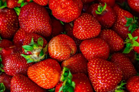 fraises rouges avec des détails visibles. fond ou texture