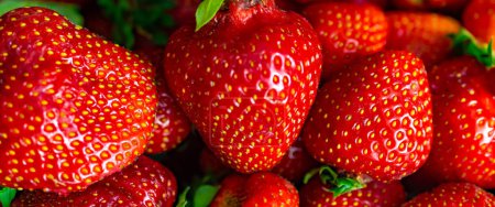 fraises rouges avec des détails visibles. fond ou texture