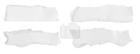 un trozo de papel blanco sobre un fondo blanco aislado