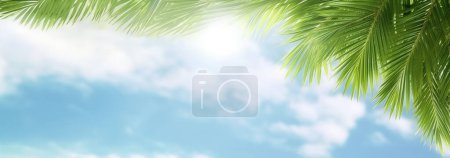 Photo for Palm sunday and easter day for welcome Jesus before Easter day. Wooden Cross and palm on white background easter sign symbol concept, World Environment Day Green coconut leaves - Royalty Free Image