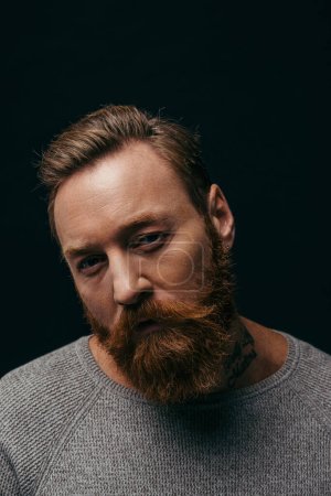 Portrait of bearded man in grey jumper looking at camera isolated on black 