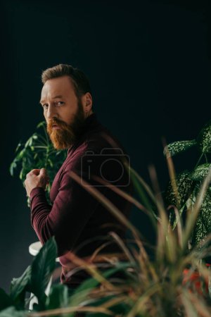 Modelo elegante en jersey mirando a la cámara cerca de plantas borrosas aisladas en negro 