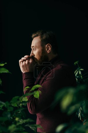 Photo pour Vue latérale de l'homme élégant en pull tenant les mains près de la bouche tout en se tenant entre les plantes isolées sur noir - image libre de droit