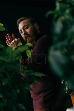Modischer Mann im Pullover blickt in die Kamera in der Nähe verschwommener Pflanzen mit grünen Blättern auf schwarzem Grund 