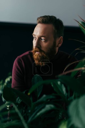 Modischer Mann im weinroten Pullover, der in der Nähe von Pflanzen auf schwarzem Hintergrund wegschaut 