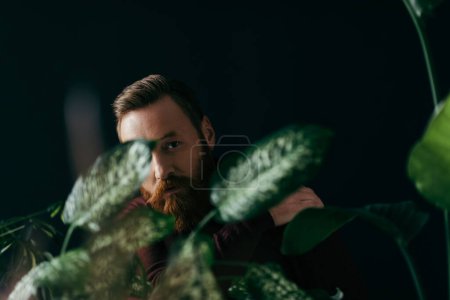 Hombre barbudo mirando la cámara cerca de plantas borrosas aisladas en negro 