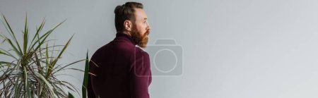 Side view of bearded man in burgundy jumper looking away near plants isolated on grey, banner  magic mug #624201688