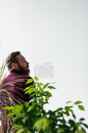 Photo for Side view of stylish bearded man standing near blurred plants isolated on grey - Royalty Free Image