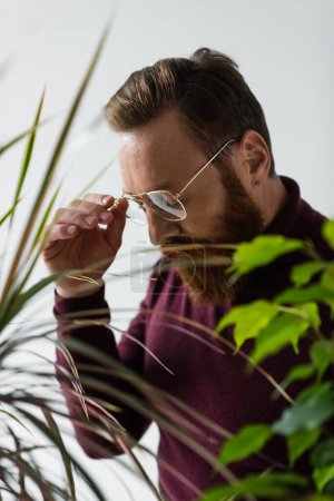 homme barbu ajustant les lunettes près des plantes vertes sur le premier plan flou sur gris 