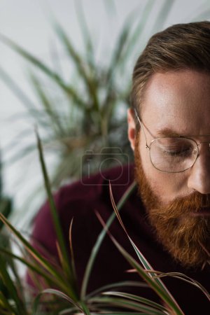 vue recadrée de l'homme barbu à lunettes debout près des plantes vertes sur gris 