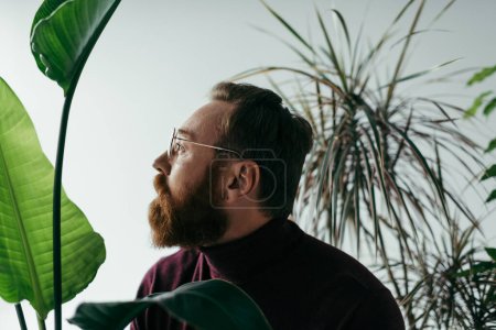 Foto de Vista lateral del hombre barbudo en anteojos mirando hacia otro lado cerca de plantas tropicales verdes en gris - Imagen libre de derechos