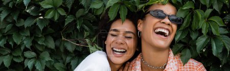 happy african american lesbian women laughing near green bush in park, banner