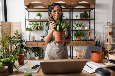 smiling african american florist in apron touching leaves of green potted plant while standing near desk in flower shop