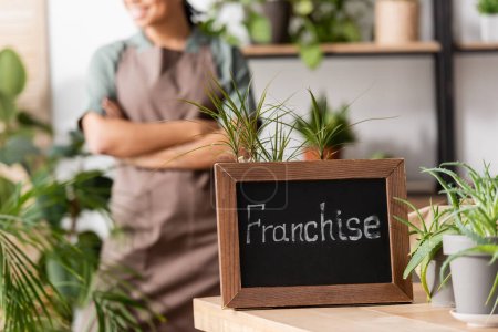 selective focus of board with franchise lettering near green plants and african american florist on blurred background