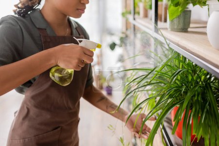 Téléchargez les photos : Vue partielle du fleuriste afro-américain rafraîchissant les plantes vertes du vaporisateur sur support dans le magasin de fleurs - en image libre de droit