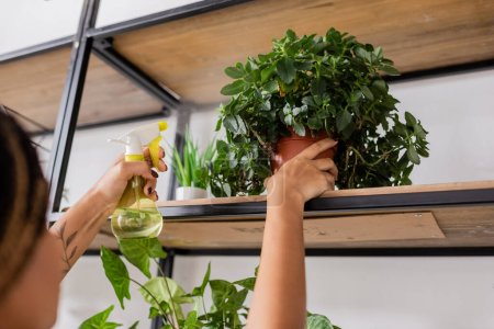 partial view of african american florist holding spray bottle with water near green potted plants on rack