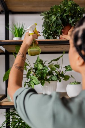 Téléchargez les photos : Vue recadrée du fleuriste afro-américain flou pulvérisant des plantes vertes avec de l'eau sur le rack - en image libre de droit