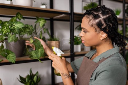Téléchargez les photos : Vue latérale d'un joli fleuriste afro-américain pulvérisant des feuilles vertes de plantes en pot dans un magasin de fleurs - en image libre de droit