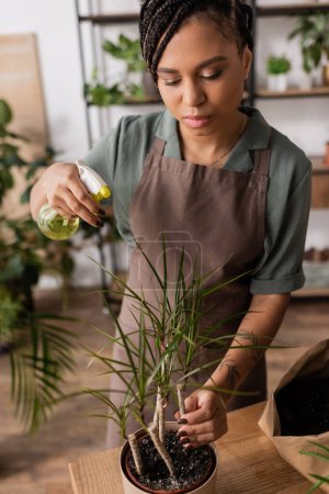 young african american florist in apron holding spray bottle with water near potted plant in flower shop