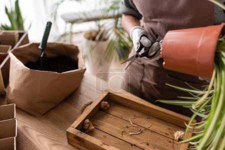 partial view of african american florist holding potted plant and scissors near paper bag with soil 