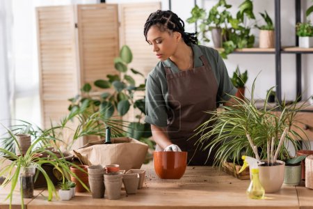 african american florist in apron holding flowerpot while transplanting plants in shop