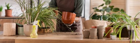 Téléchargez les photos : Vue recadrée du fleuriste afro-américain transplantant des plantes sur un bureau en bois dans un magasin de fleurs, bannière - en image libre de droit