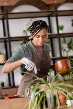 mujer afroamericana elegante sosteniendo la cucharada del jardín y la maceta mientras que trabaja cerca de plantas borrosas