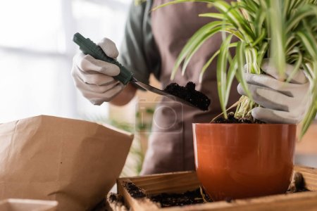 partial view of blurred african american florist holding garden scoop with soil near plant and flowerpot
