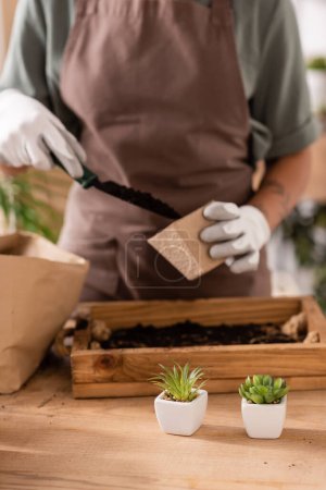 Téléchargez les photos : Vue partielle du fleuriste afro-américain dans des gants de travail remplissant le pot de fleurs avec de la terre près de petites plantes sur une table en bois - en image libre de droit