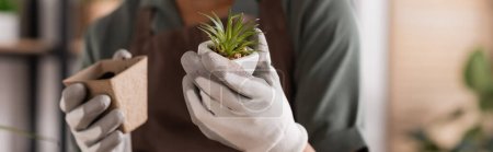 Foto de Vista recortada de florista afroamericano en guantes de trabajo sosteniendo pequeña planta y maceta con tierra, pancarta - Imagen libre de derechos