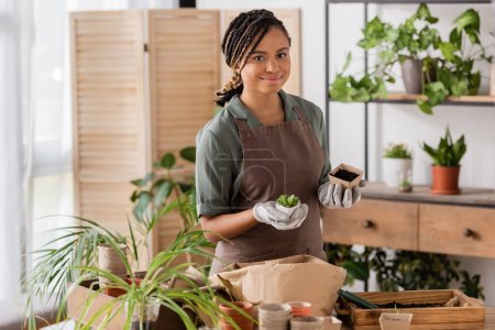 Foto de Floristería afroamericana bonita en guantes de trabajo sosteniendo planta y maceta mientras mira la cámara en el lugar de trabajo en la tienda de flores - Imagen libre de derechos