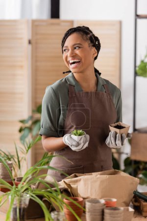 african american florist with plant and flowerpot laughing while looking away in flower shop