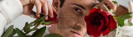 Photo for Portrait of man obscuring face with red rose and looking at camera on blurred foreground isolated on grey, banner - Royalty Free Image
