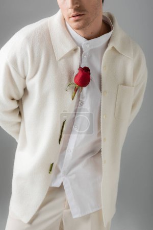 cropped view of man in white shirt and jacket decorated with red rose standing with hands behind back isolated on grey