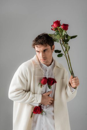 Téléchargez les photos : Trendy man in white soft jacket holding red roses and looking away isolated on grey - en image libre de droit