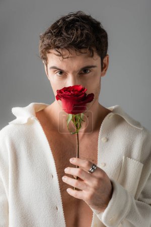Foto de Shirtless man in white jacket and silver finger ring obscuring face with red rose and looking at camera isolated on grey - Imagen libre de derechos