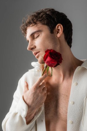 sexy man in white jacket on shirtless body holding red rose near face while posing with closed eyes isolated on grey