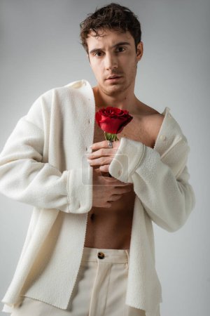sexy man in white and soft jacket holding red rose and looking at camera isolated on grey