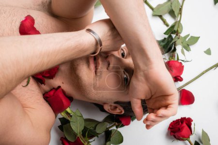 top view of shirtless man in silver bracelet looking at camera while lying near red roses on white background