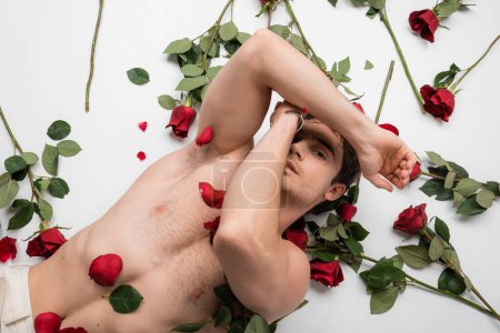 top view of shirtless man with muscular torso lying near red roses and looking at camera on white background