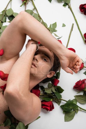 top view of shirtless and sexy man obscuring face with hands and looking at camera near red roses on white background